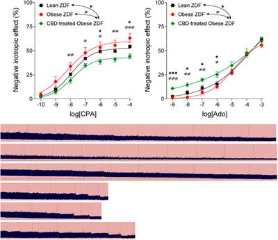 The effect of a long-term treatment with cannabidiol-rich hemp extract oil on the adenosinergic system of the zucker diabetic fatty (ZDF) rat atrium